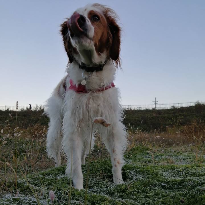 Cd458f7d b3a0 452c 9377 f8608a94d9f3 1606693089315