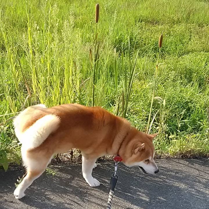 Cd45a9f2 0e1d 49b0 9af2 692c0acbf201 1692580800305