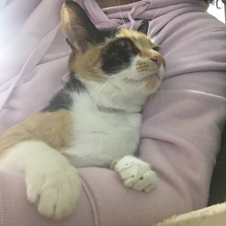 Cd45c472 ddc4 4ee9 b061 6748924f8774 1519983558112