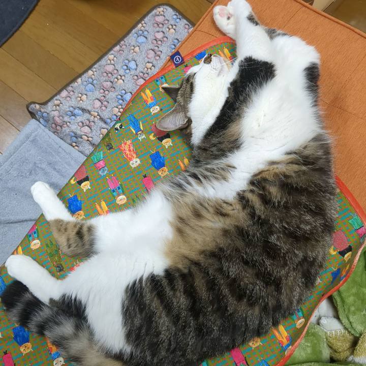 Cd45d528 209d 4736 a5e7 a17799fd1a7d 1684743541035