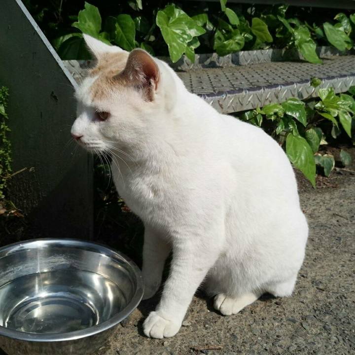 Cd45da5d d662 41ac acae bd3b01e60f68 1524325137094