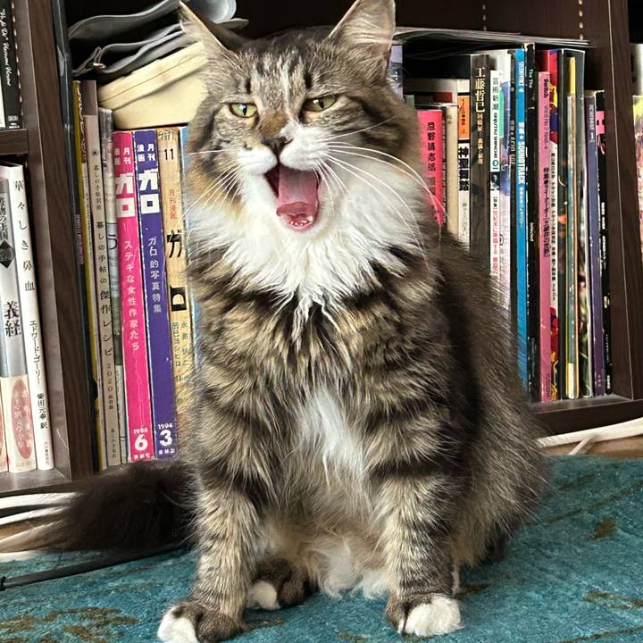 Cd45e14b 9094 4490 b65b 746596426053 1749016572095