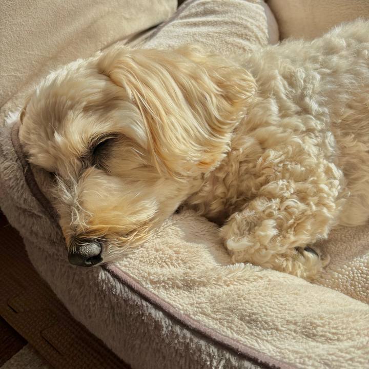 Cd45f2b5 b0fc 479c a10d 808152591d4d 1766199848407