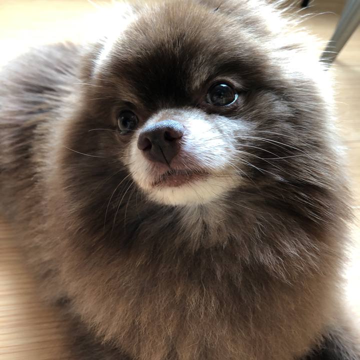 Cd45ff9d 1817 4405 a57b 66e26d4afd9e 1533348798638