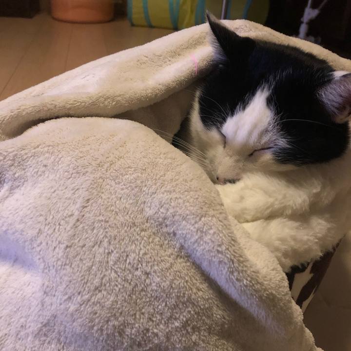 Cd460b1a 6bd2 42af 9dfc e5e422b8b505 1577203810577