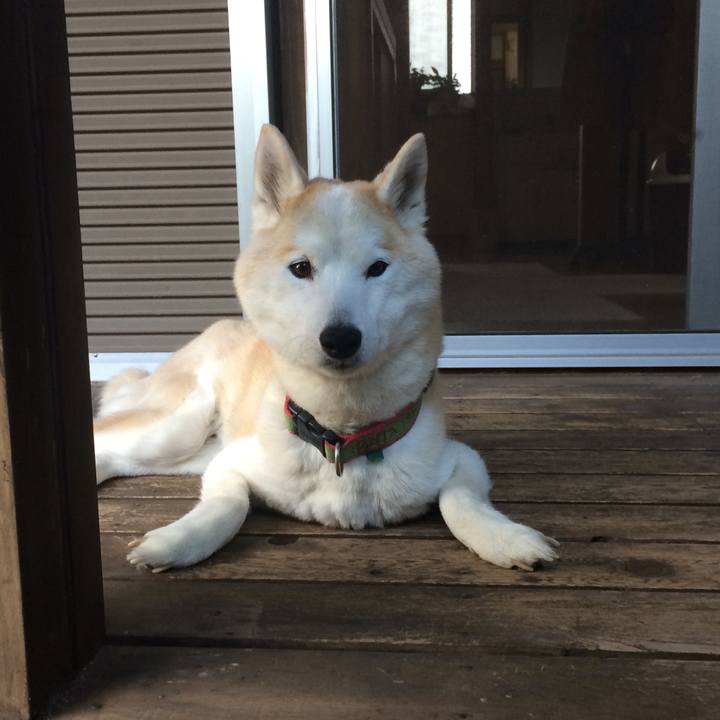 Cd461a2b c922 4e8a 95fd adfb3455cbcc 1560330537654