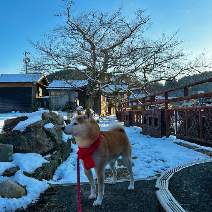 Cd461bef e5f4 4355 9cfe ce4b428b22bd 1768217053887