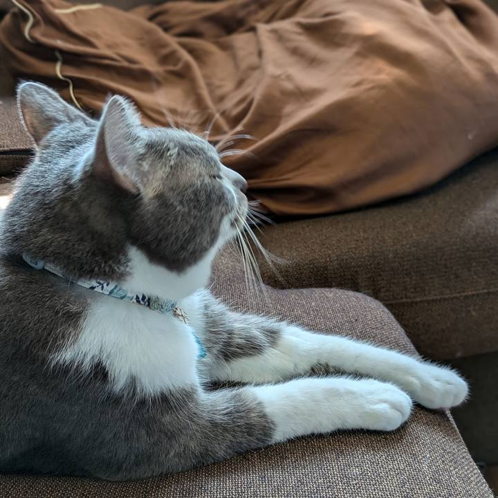 Cd46405f 763f 4f54 87c4 ef7def9aa1a5 1725754437112