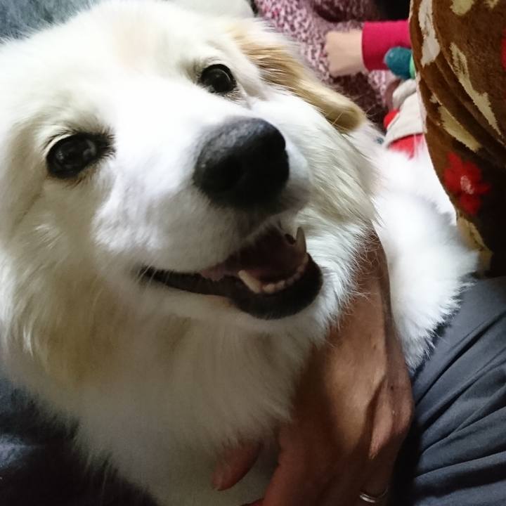 Cd46c5fa 5c77 4423 9dc6 b8276576fcb1 1525692447592