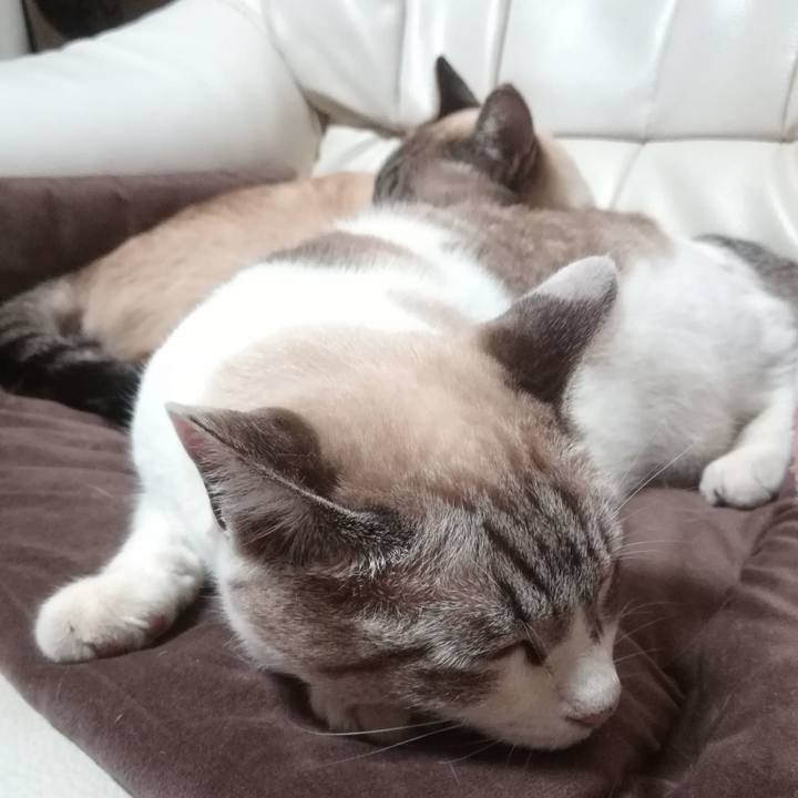 Cd46c6a4 078b 4b56 9205 ab6fe9602f02 1602240550918