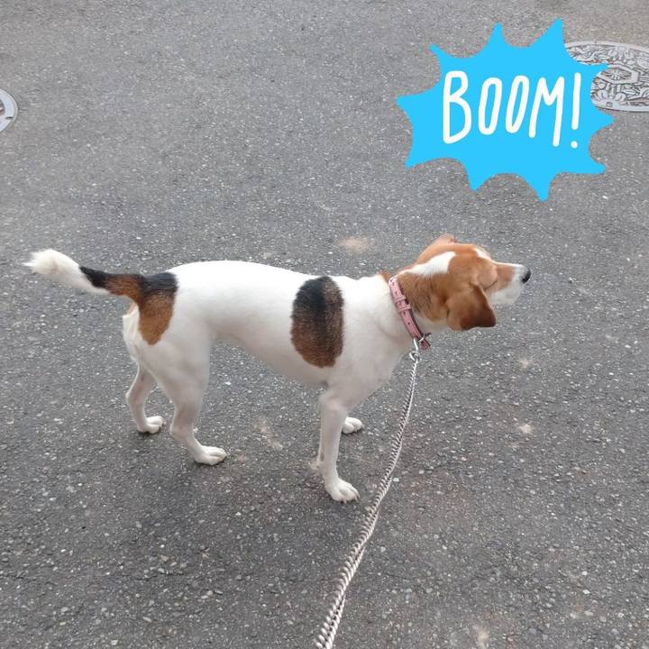 Cd46f728 a06e 4397 bd1b 2d3999de6394 1601861707610