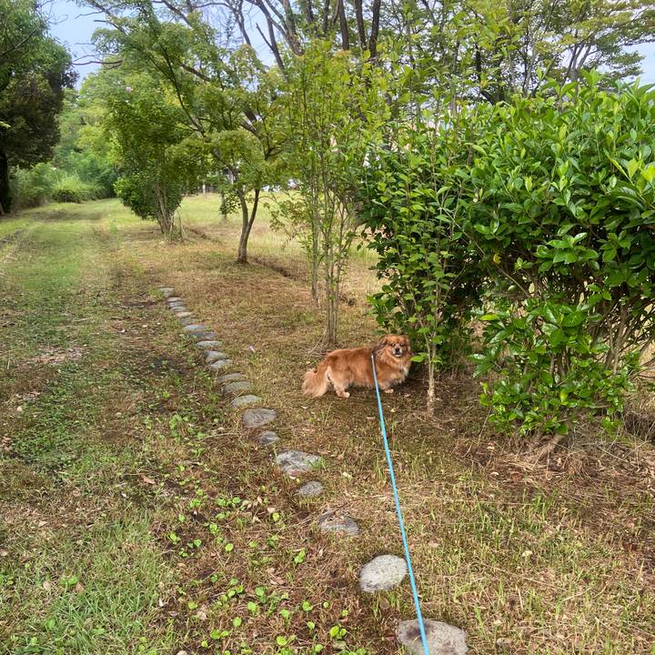 Cd471977 984f 40fd 8fa3 85ae883f19d4 1660003109568