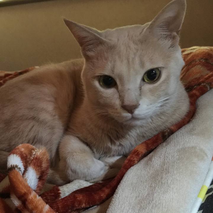 Cd4751e2 8028 4440 8b48 5aca34ecef70 1545792557574