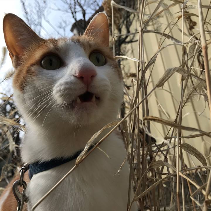 Cd476451 deb7 47a8 8cd8 f73b357ab2f4 1517734347349