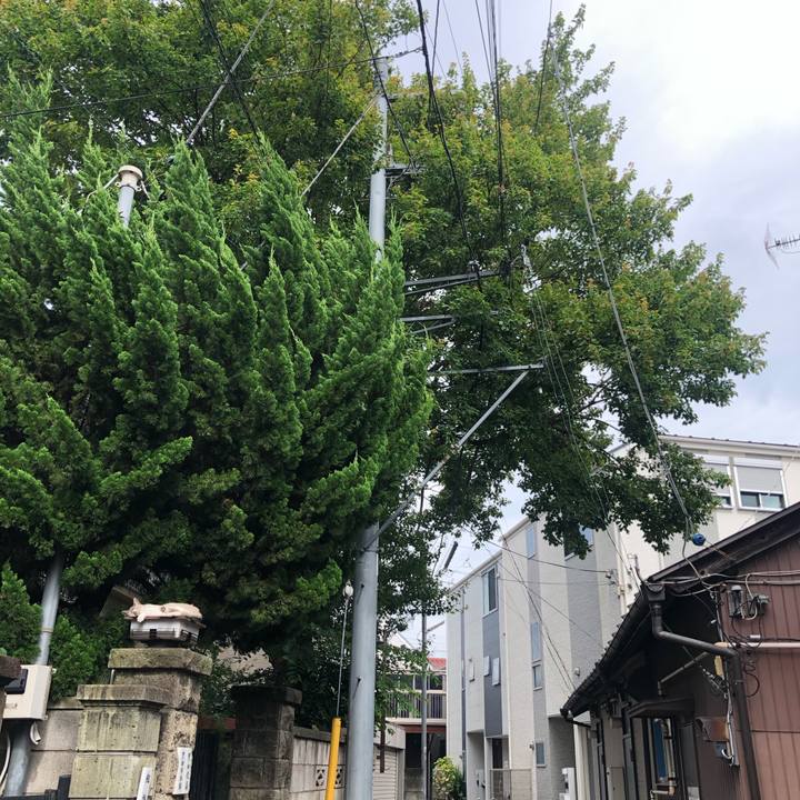 Cd479ccf 8dc4 4013 a3d6 39c9929ae713 1594647992989