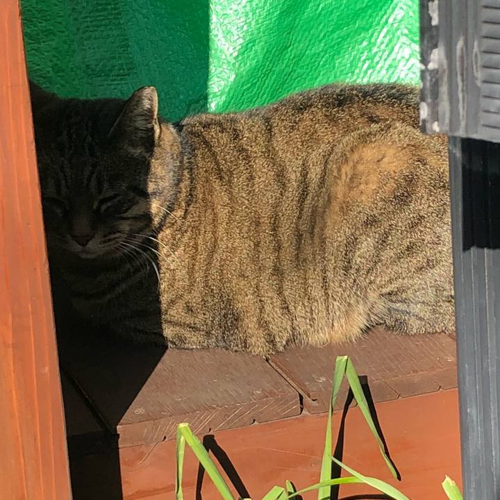 Cd47ba4b 978e 4417 84be 6f758d35d7ea 1513914748144