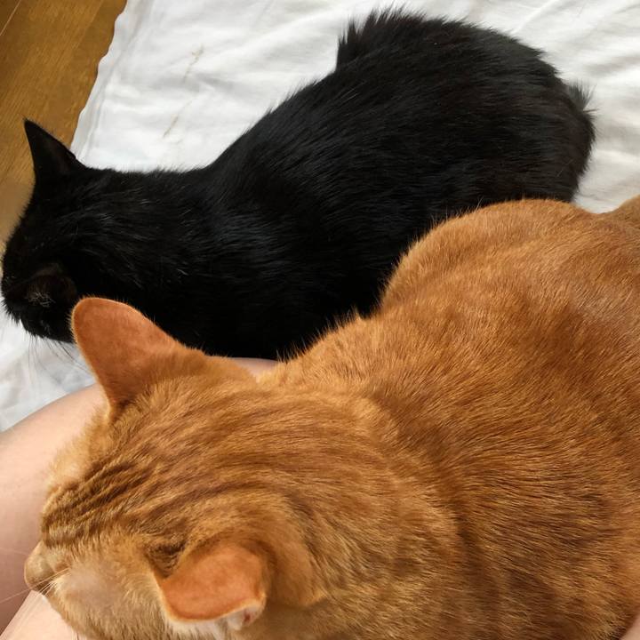 Cd47beff c586 4302 85ee 5634fa814835 1562276408408