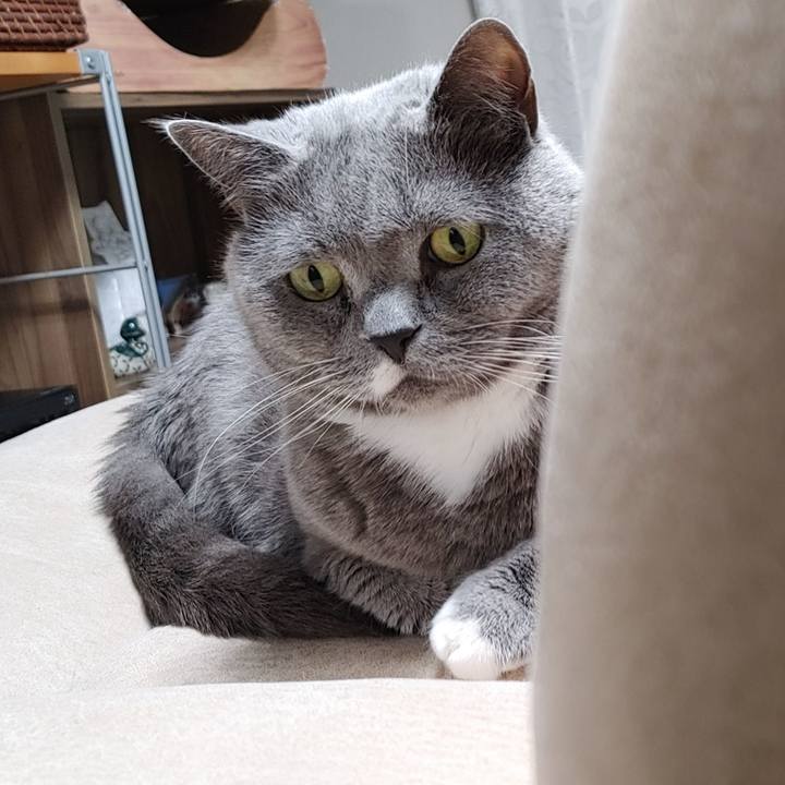 Cd47e73d 2880 4a8a 8702 91412fac65d8 1713435843851