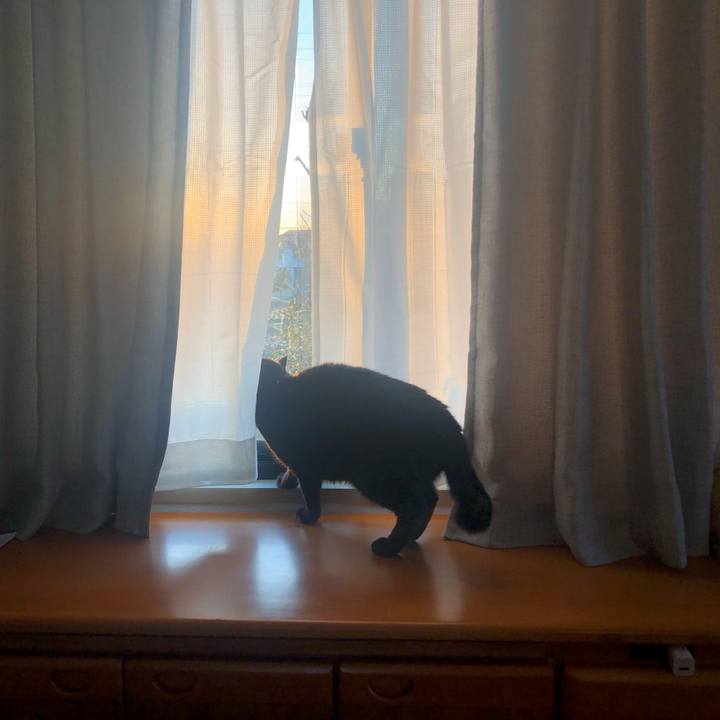 Cd47f171 8e3c 48ef b579 59fec208980b 1615767742354