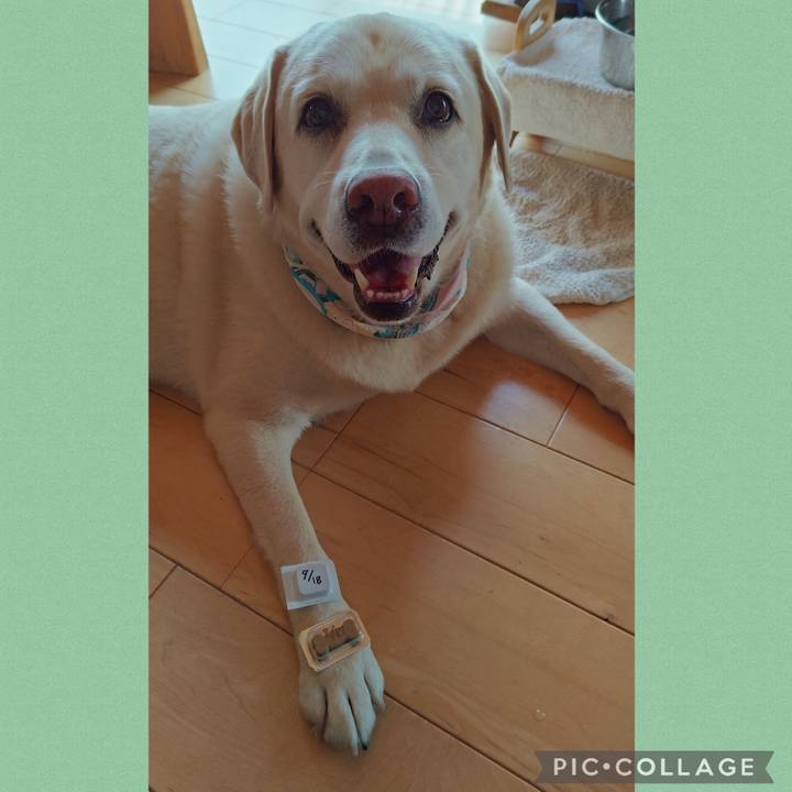 Cd48084a 8fb1 4ec3 9a3f 4fd68ab00d89 1758075364028