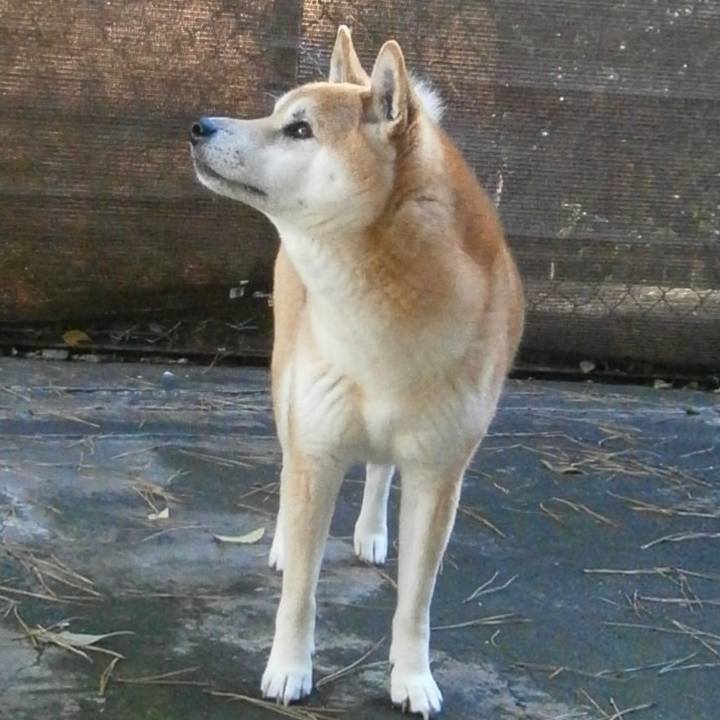 Cd4827ff c1b8 4419 b668 ba8bc1f1604e 1659403257796