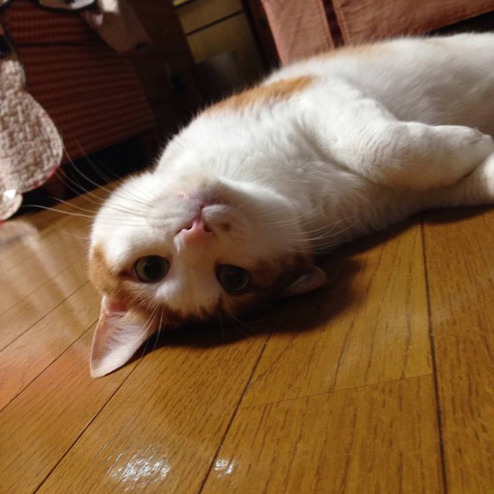 Cd48281e fbc8 41c3 90d2 9f73e10eb251 1509103821595