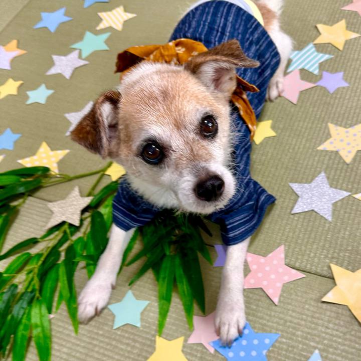 Cd4837e3 4405 4441 ba69 cb4b8e120590 1688686204693