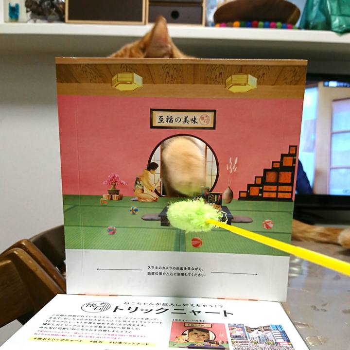 Cd486e5d 1458 45ad ad7a 528722bae320 1536792613562