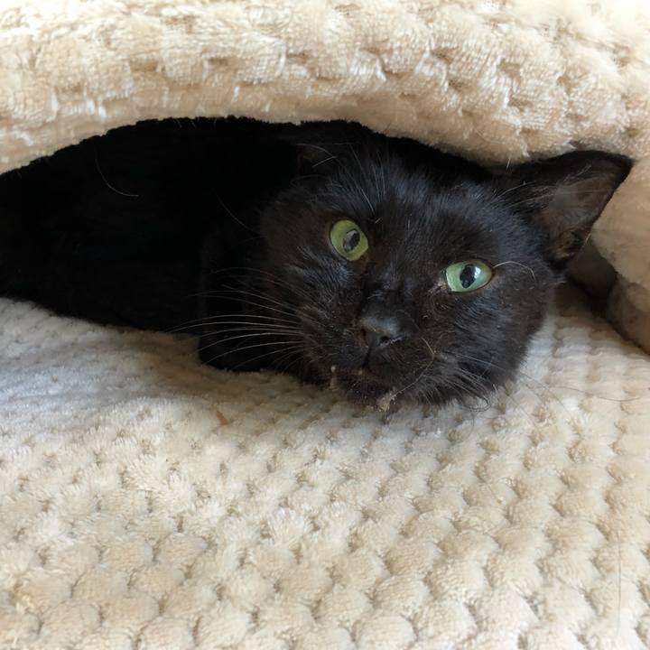 Cd488a59 5165 418a a8f9 882b45704c3d 1557634677952