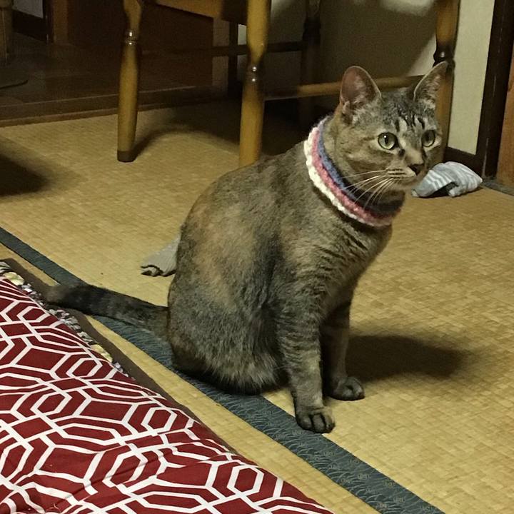 Cd489328 64f4 40ce 8816 579ed7c29a72 1624187341262