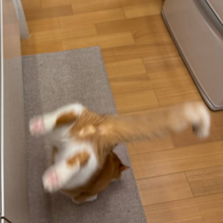 Cd48bbf3 4413 48ad a53a 369afa5a0eb5 1764641647236