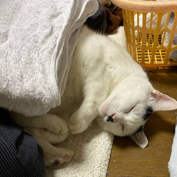 Cd48c2f1 6cb8 4eef 944c eae29dd08edc 1571733124518