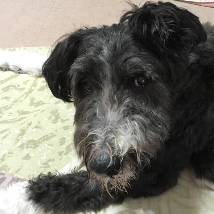 Cd48d7e4 ba8c 44c4 90a9 e5a2a7feb472 1562833360911