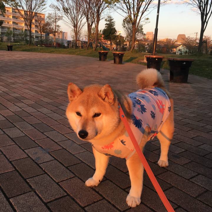 Cd48dc01 d8ce 4ee5 90e2 812661f5c952 1555324771773