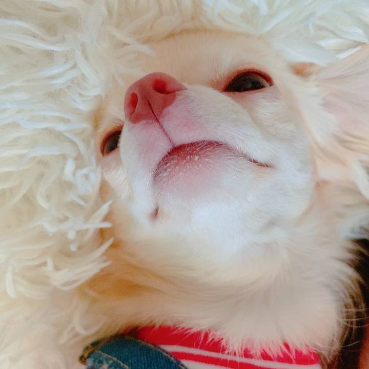 Cd491584 5b35 4cd8 a8e0 cc3fc43d17cb 1627202943184