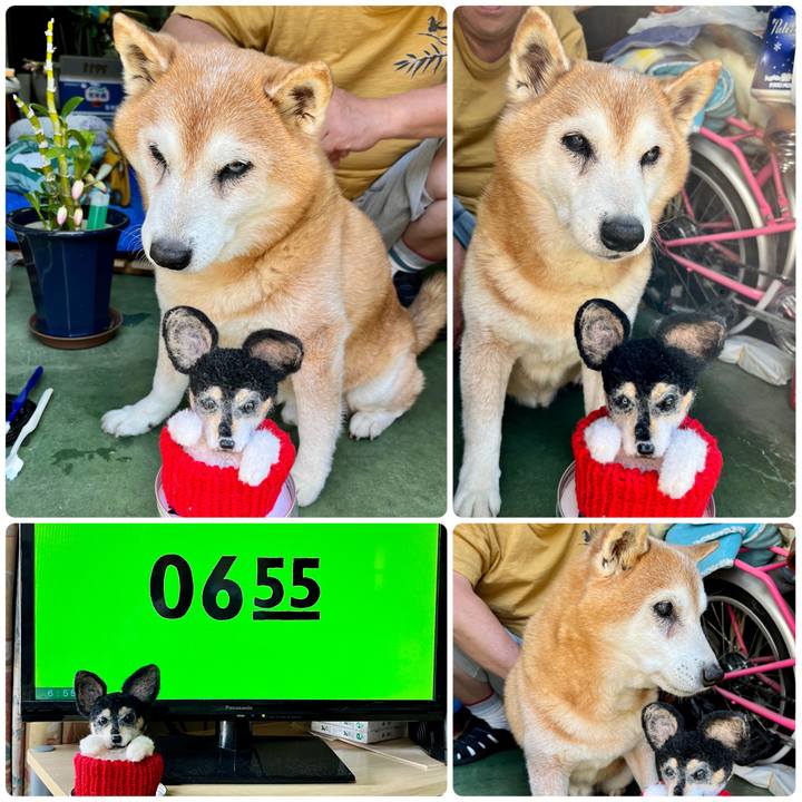 Cd492d16 1174 4763 a666 b33f09f524d2 1683157176088