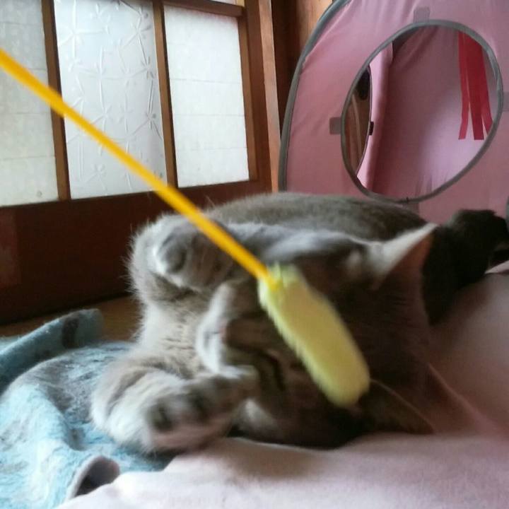 Cd49411d 2e96 477f a67d b7f13faf6053 1526182283942