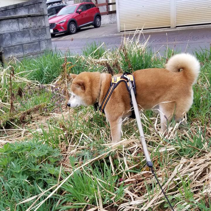 Cd4959c5 506d 46fe a1fd 4787fbacf61d 1618379169292