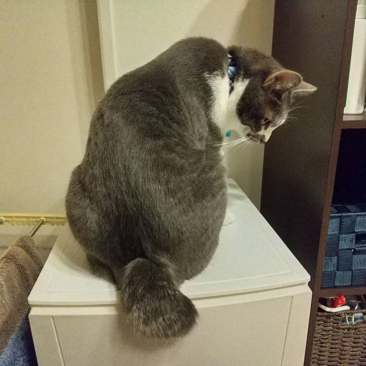 Cd496264 f35c 4718 a503 fd0d566f07d9 1606131706144