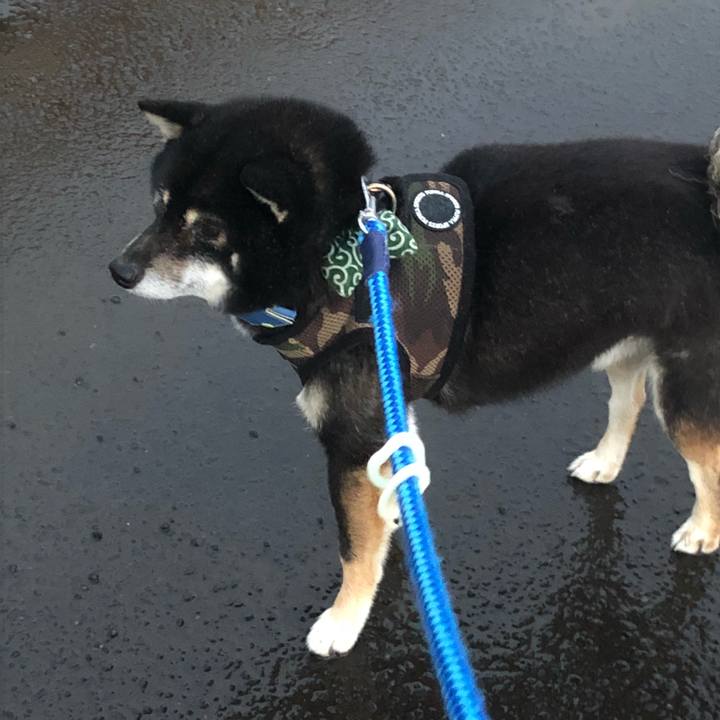 Cd497d55 cfe4 445f ab68 72938d36510c 1540975598400