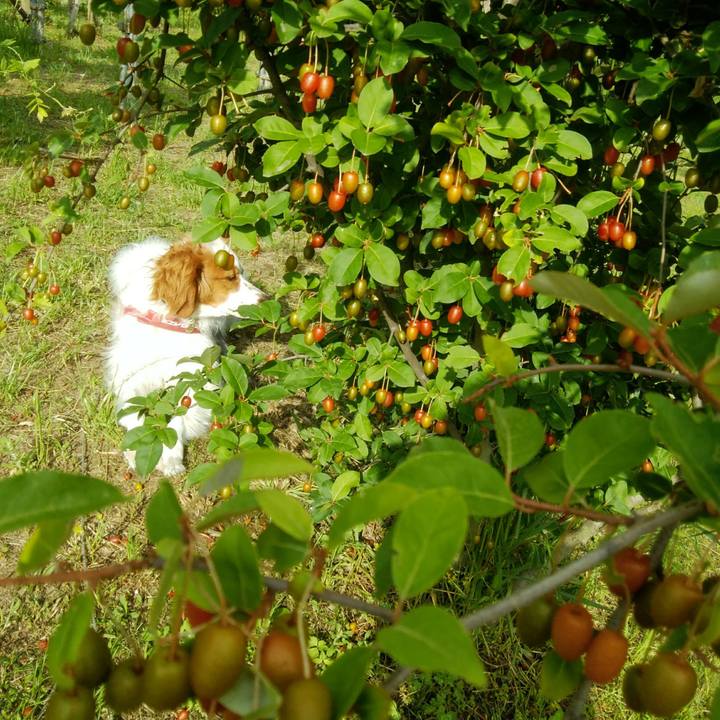 Cd49a79c 72fd 46d6 8196 41462cde3b83 1559214823679