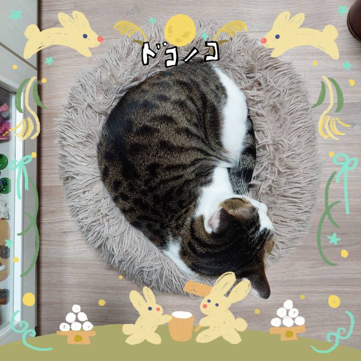 Cd49c41f d347 4858 aa76 0525f9460e6f 1727127508326