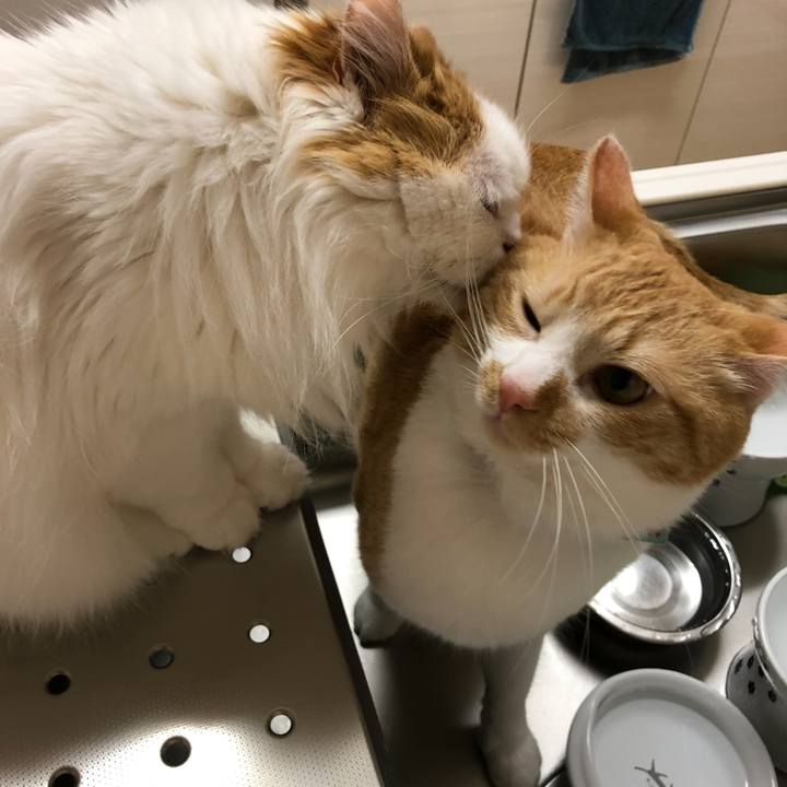 Cd49fff6 081a 45e6 81e4 0997c248faa0 1771222719225