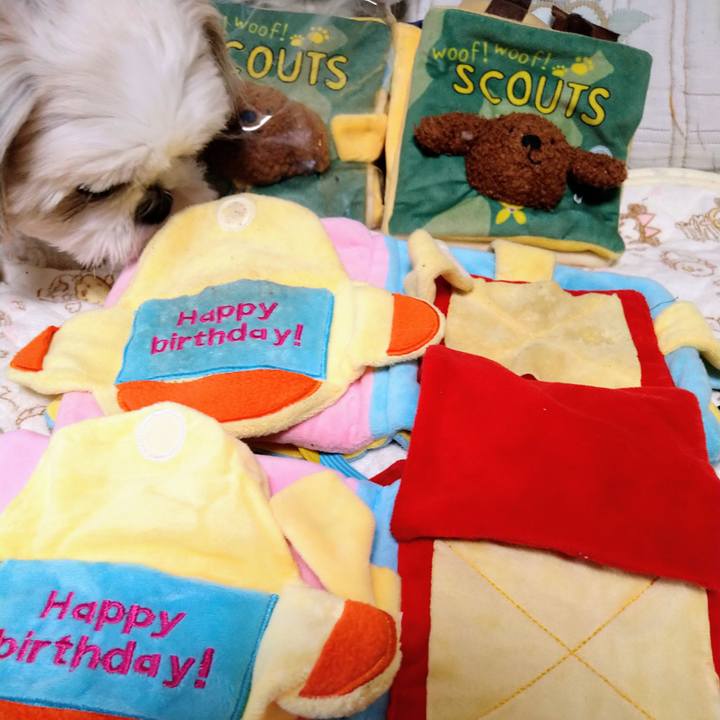 Cd4a03c7 01ad 460c a76f d21d9b247ca4 1665884884683