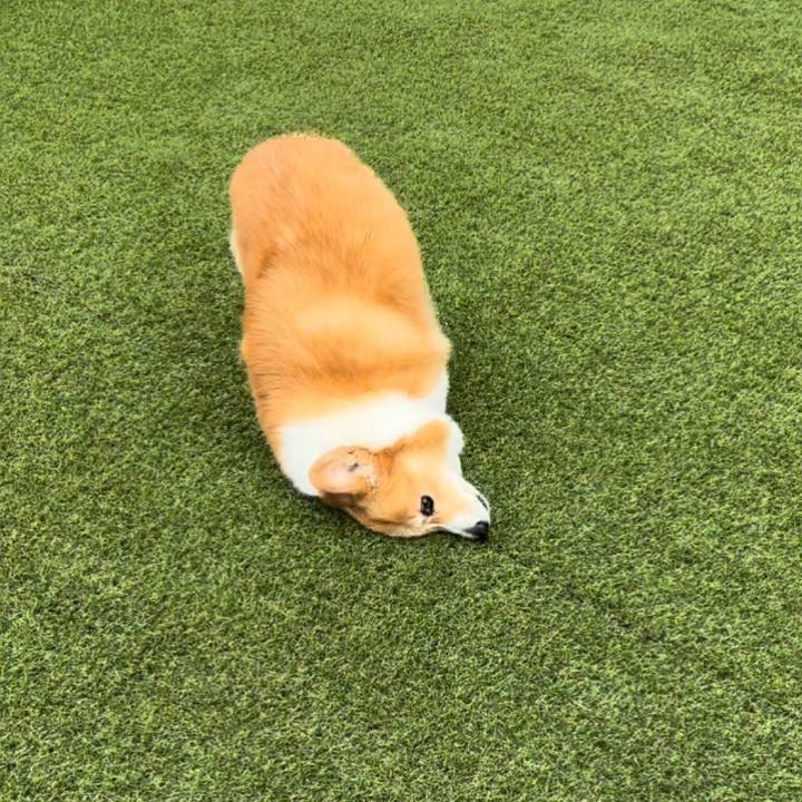 Cd4a0786 f3bb 4440 8003 4f24f4810694 1727489854805