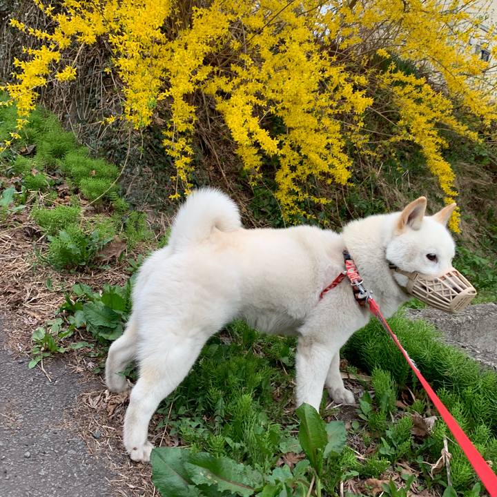 Cd4a2748 f7d4 43be 8180 c96d9045137b 1557099920489