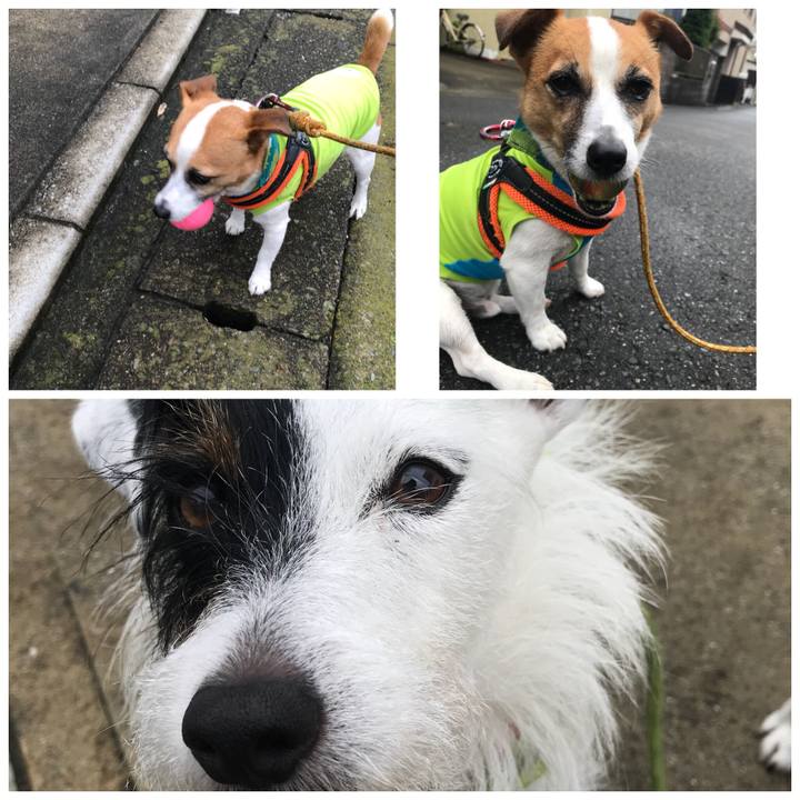 Cd4abd4b aef5 4906 9bb2 3b29ca5ce8ff 1529802065938