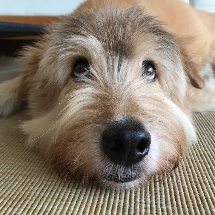 Cd4aea46 232f 4e04 811b 6255093217cc 1600476446517