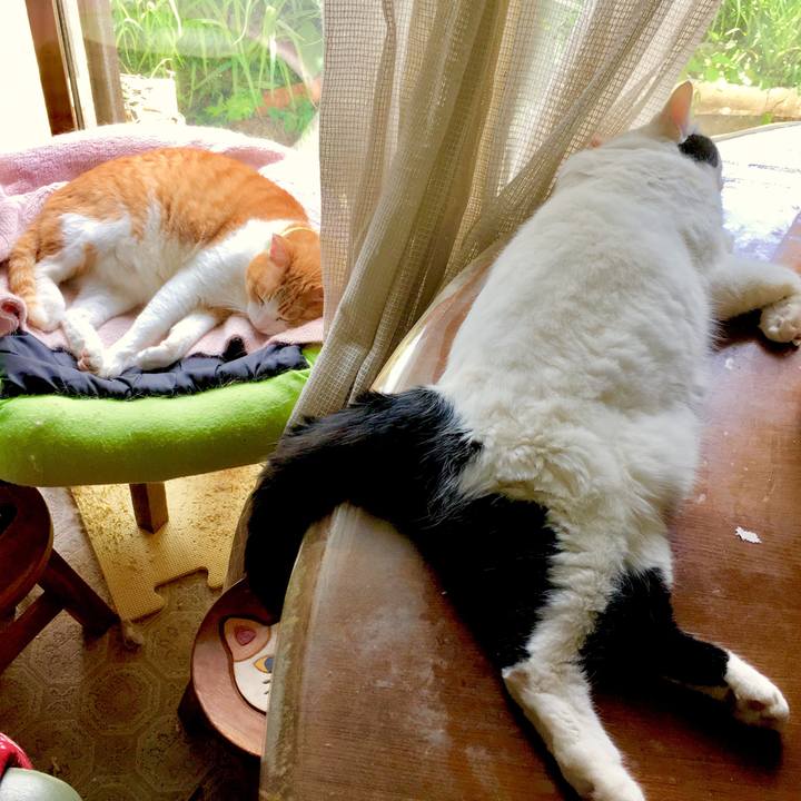 Cd4b0eb5 ab99 4dba 91b0 b73fd1550f43 1561603749331