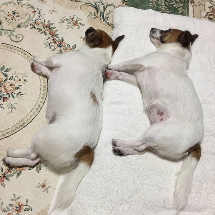 Cd4b1bb4 75e8 4bd2 9268 2e587bff31ff 1533484552366